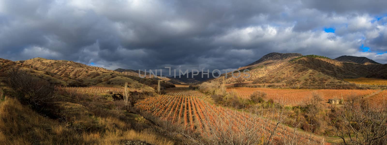 Vineyards. Autumn valley against the background of mountains and sky