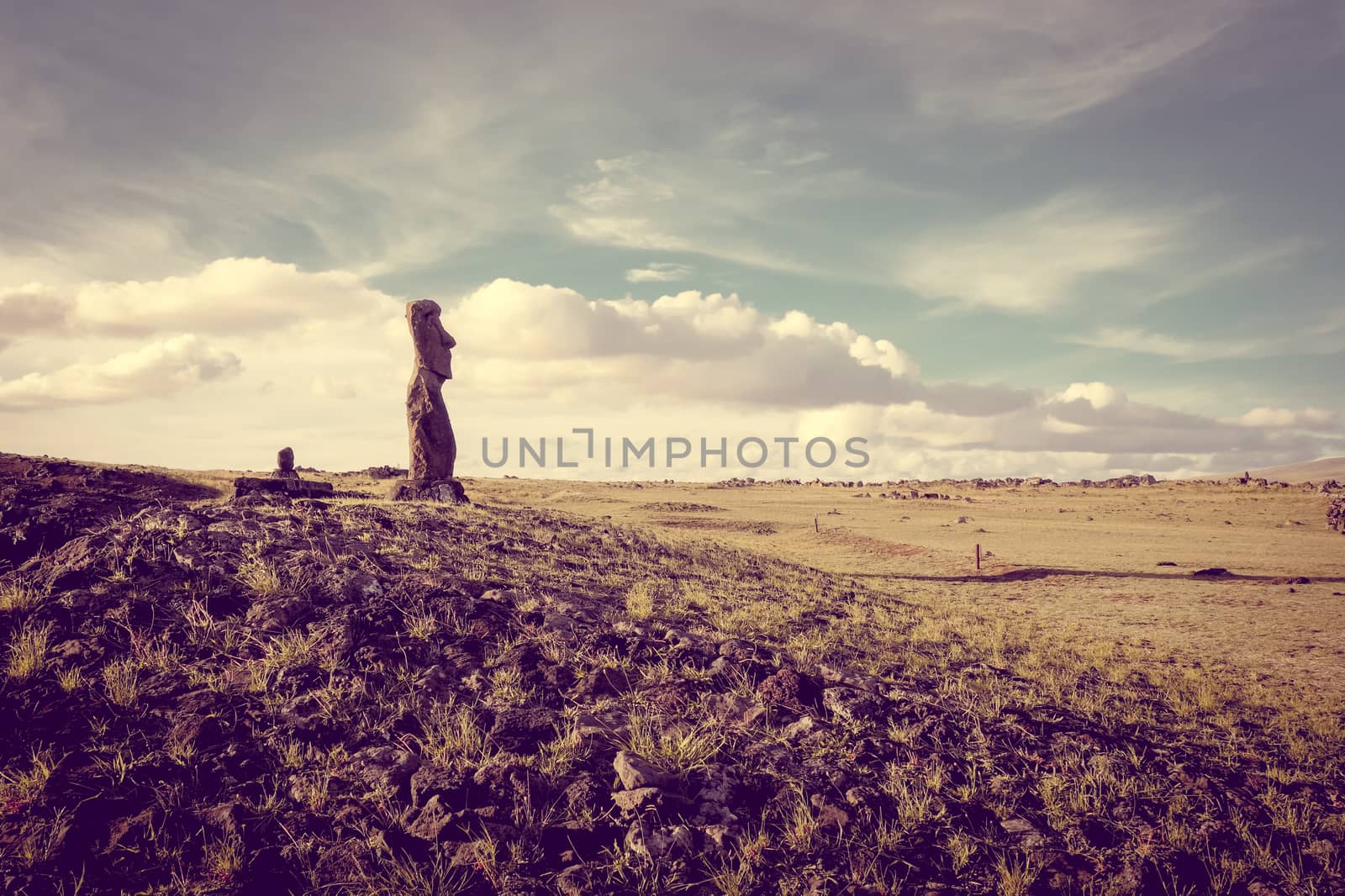 Moai statue, ahu akapu, easter island, Chile