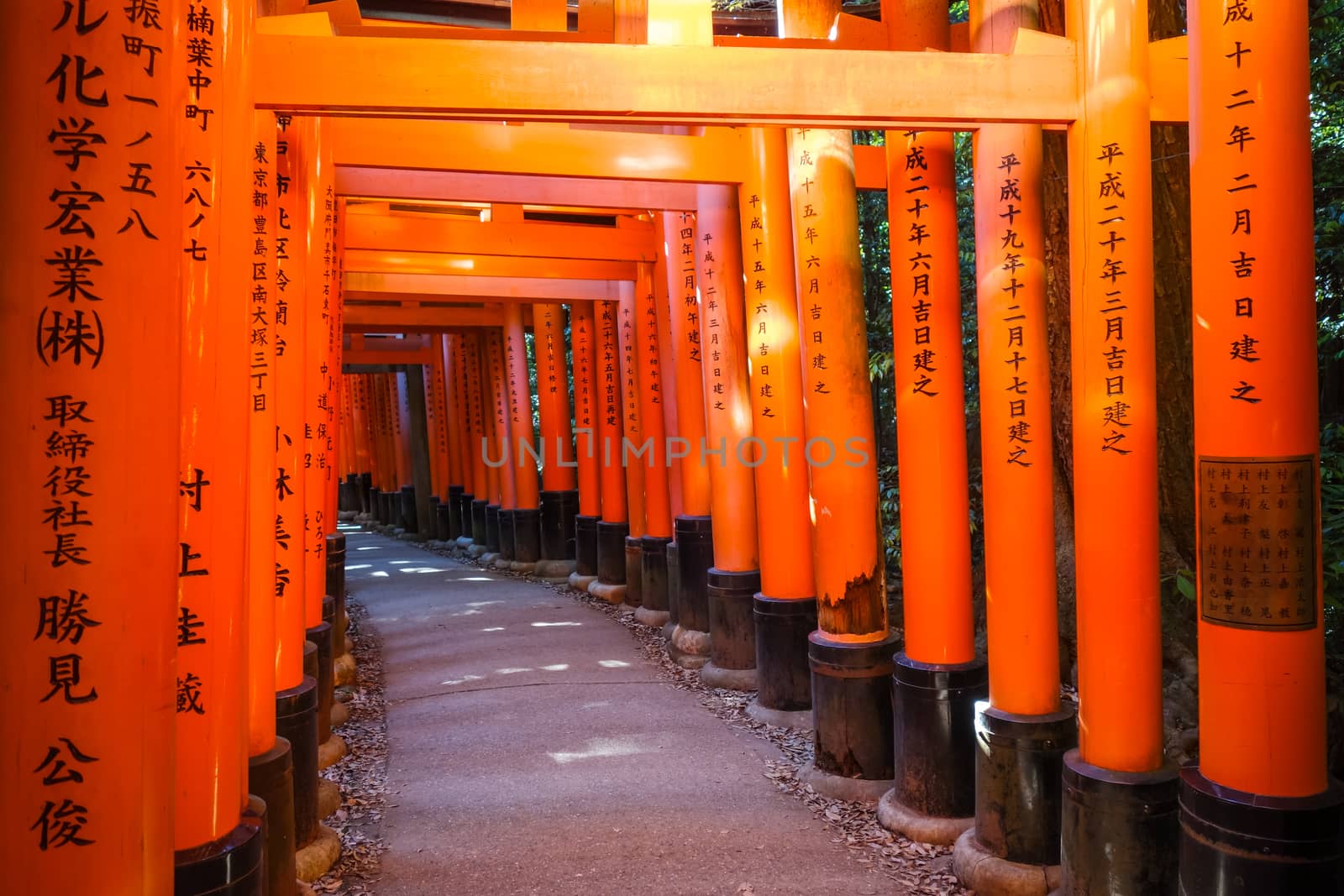 Fushimi Inari Taisha torii shrine, Kyoto, Japan