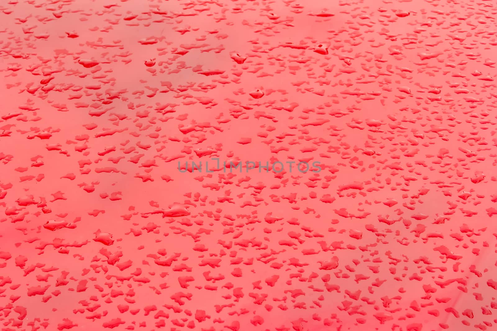 Drops of rain on red background. Natural Pattern of raindrops.
