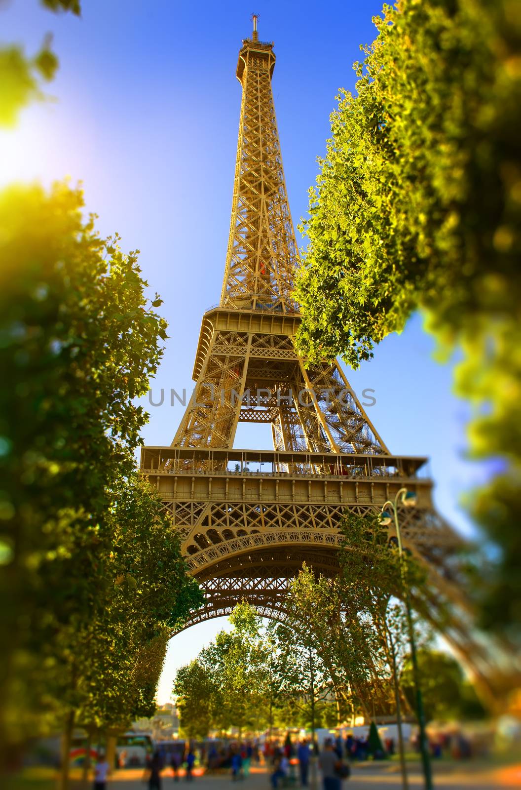 Eiffel Tower in the park by Givaga