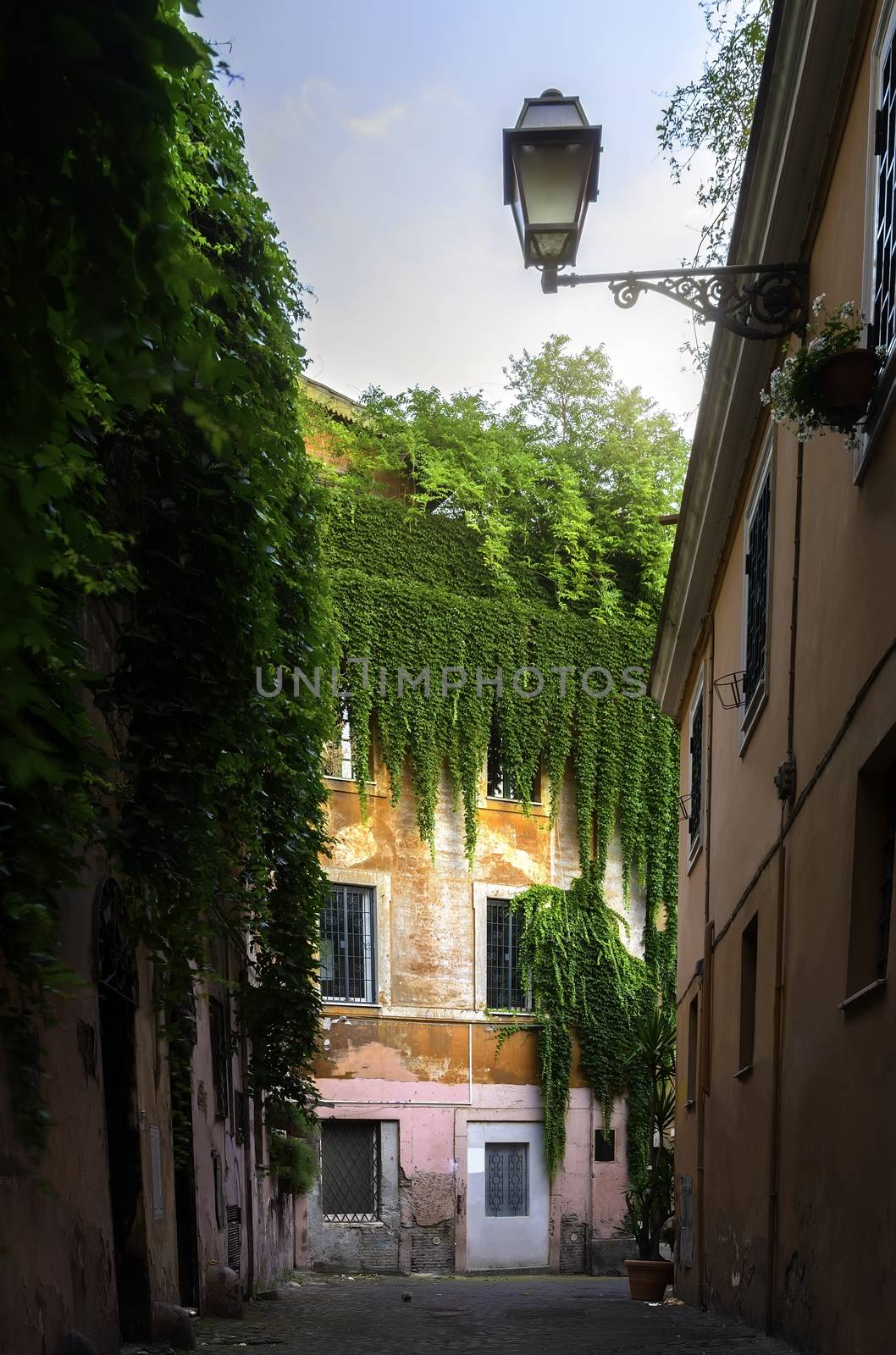 View of the old street in Trastevere in Rome, Italy