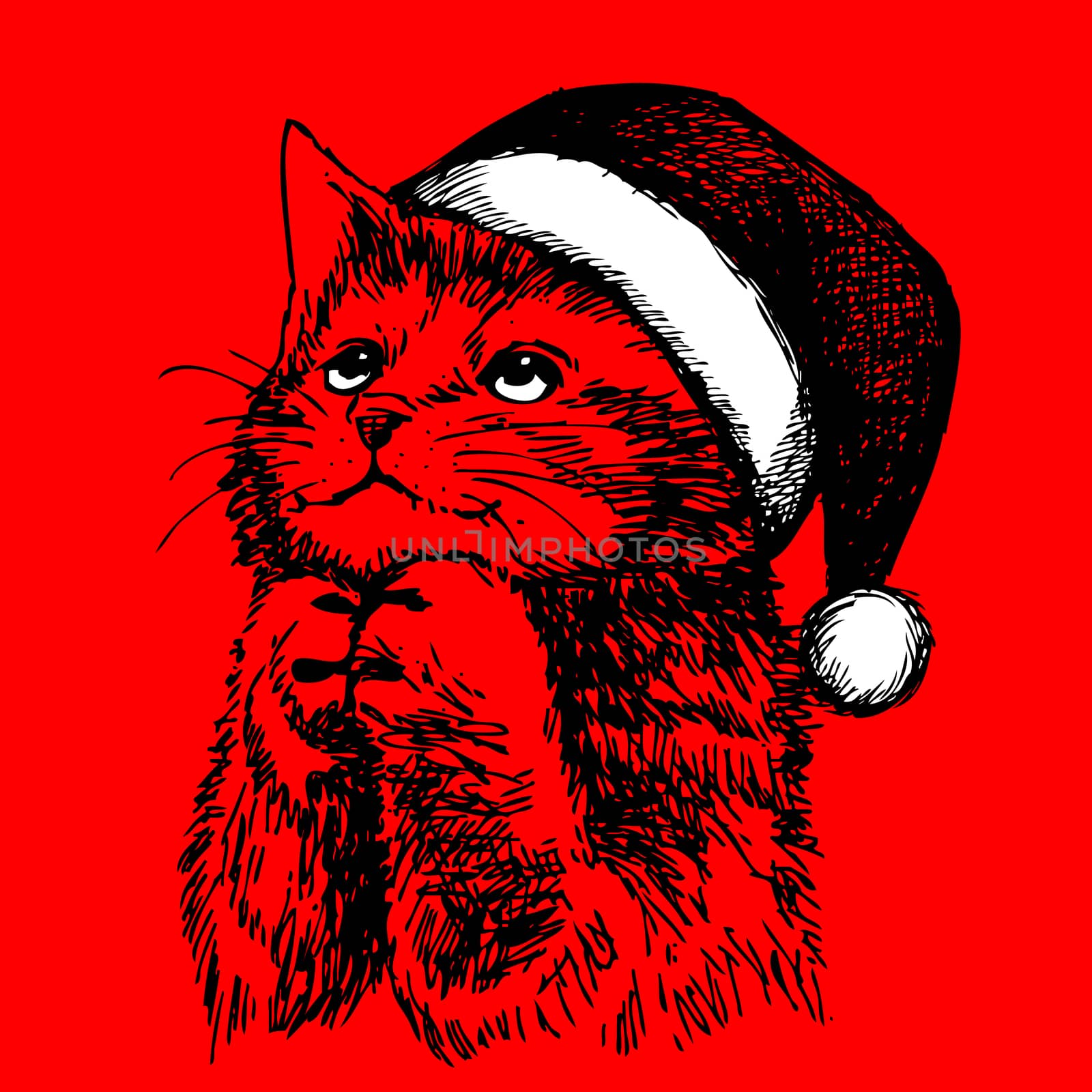  little cat, kitten with christmas santa hat by simpleBE