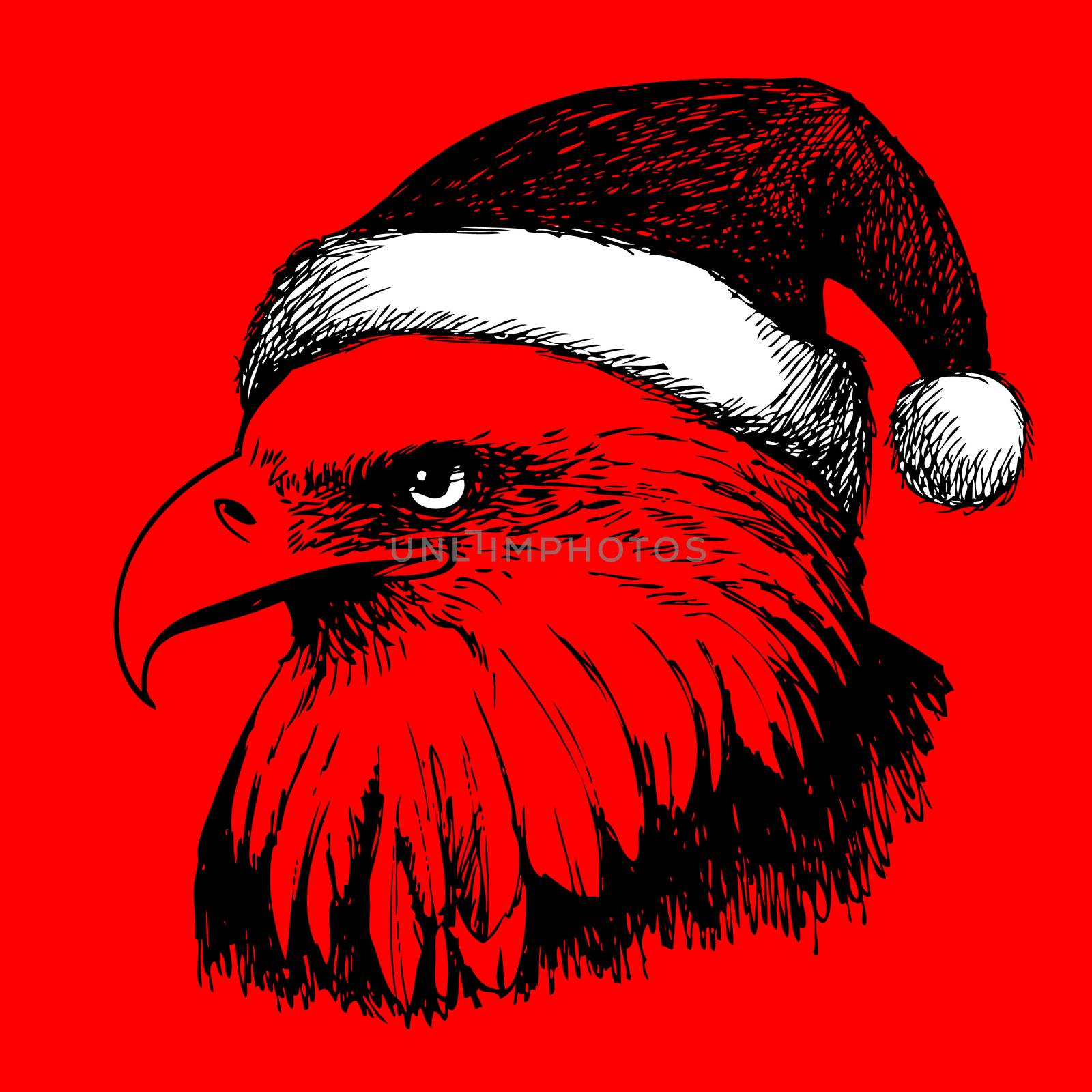 eagle bird with christmas hat, doodle hand  by simpleBE