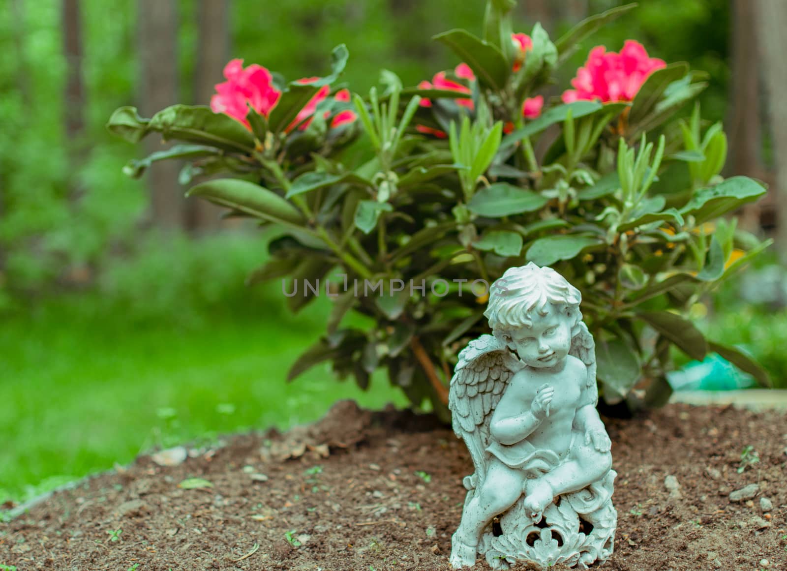 angels in the Park St. Petersburg Park Hiking