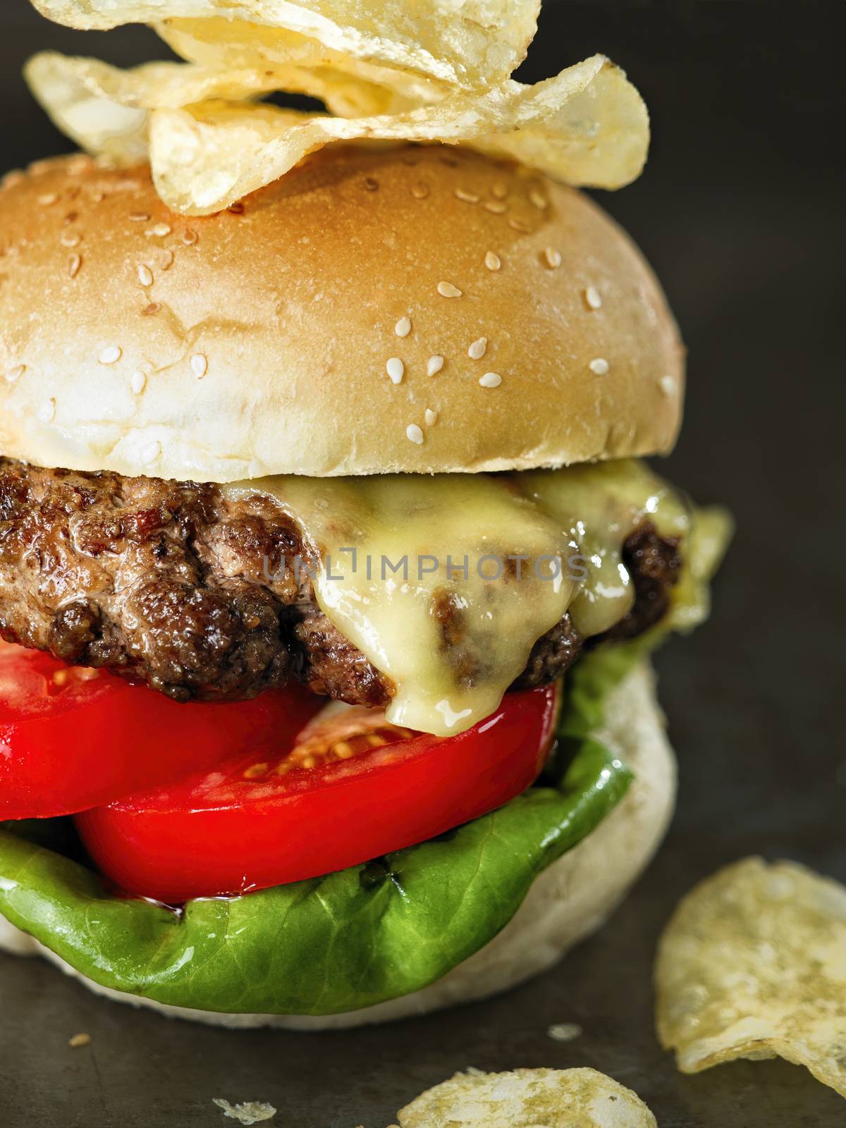 close up of rustic american hamburger