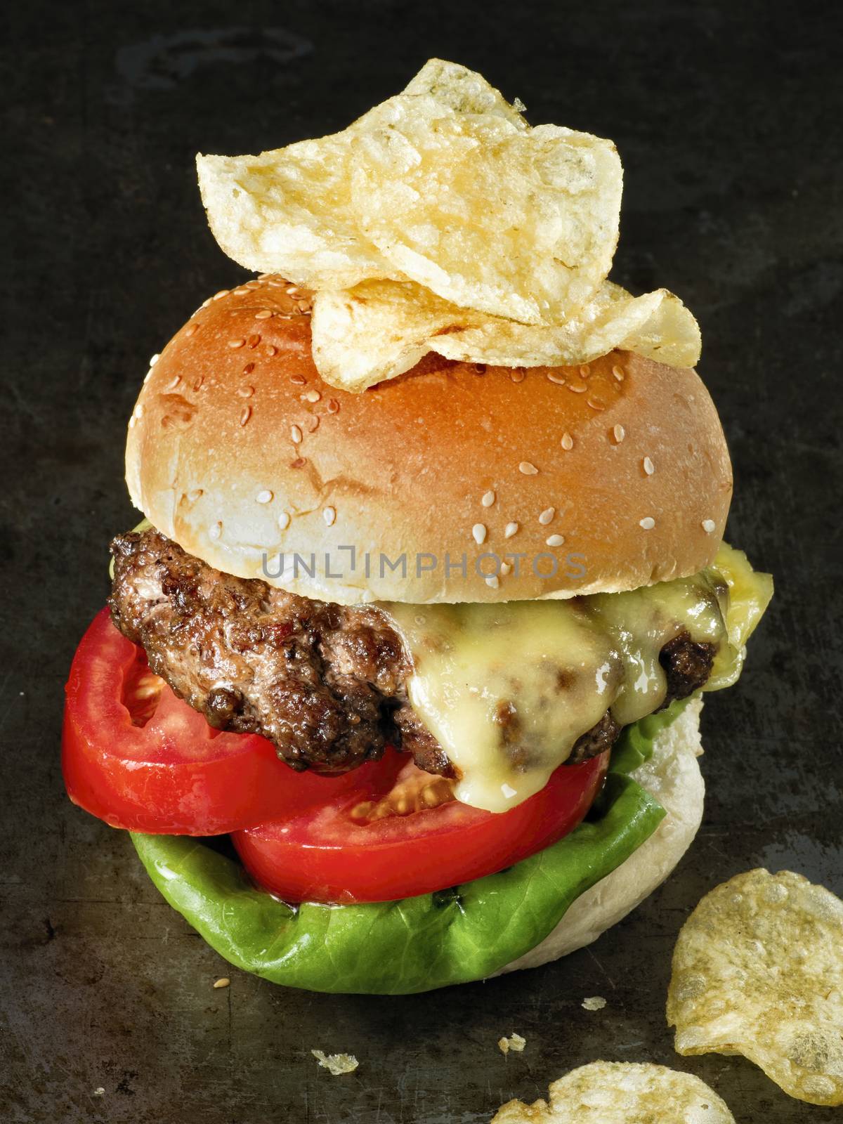 rustic american hamburger by zkruger