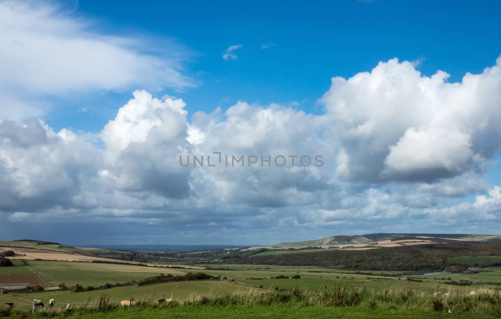 Cuckmere Valley in East Sussex, looking North.
