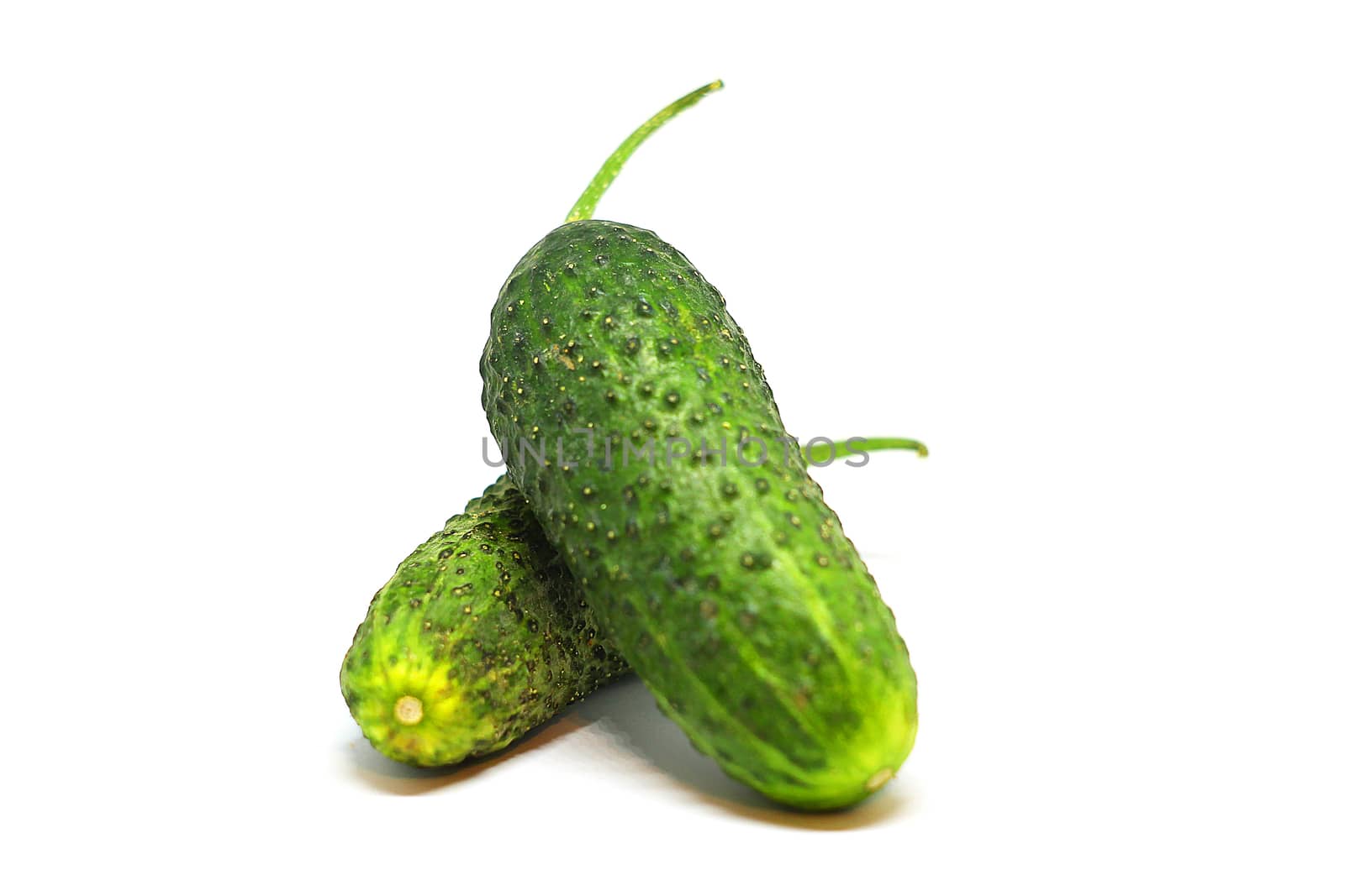 Green cucumber isolated on white background by nolimit046