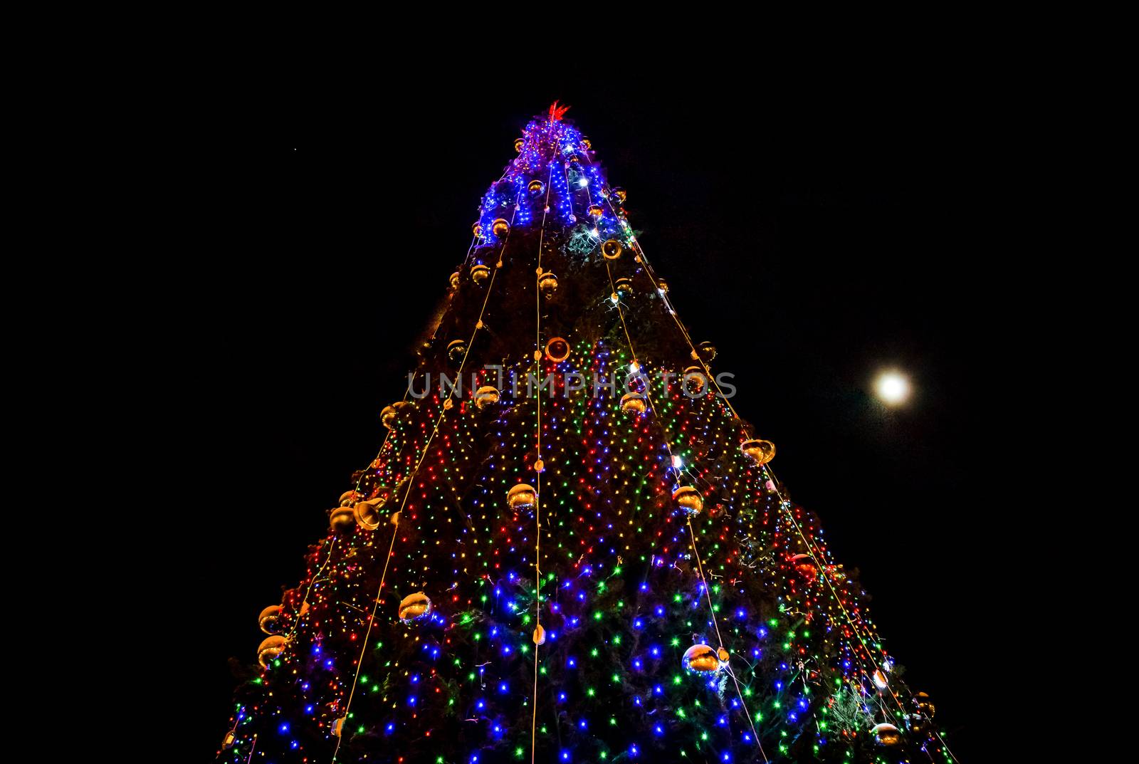 Christmas tree on black background night new year's eve 2018