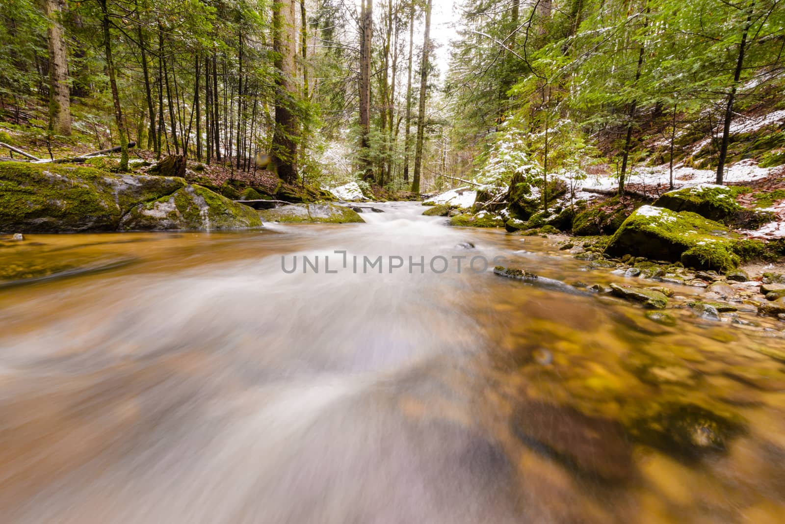 Mountain river, stream, creek with rapids in late autumn, early winter with snow, vintgar gorge, Slovenia by asafaric