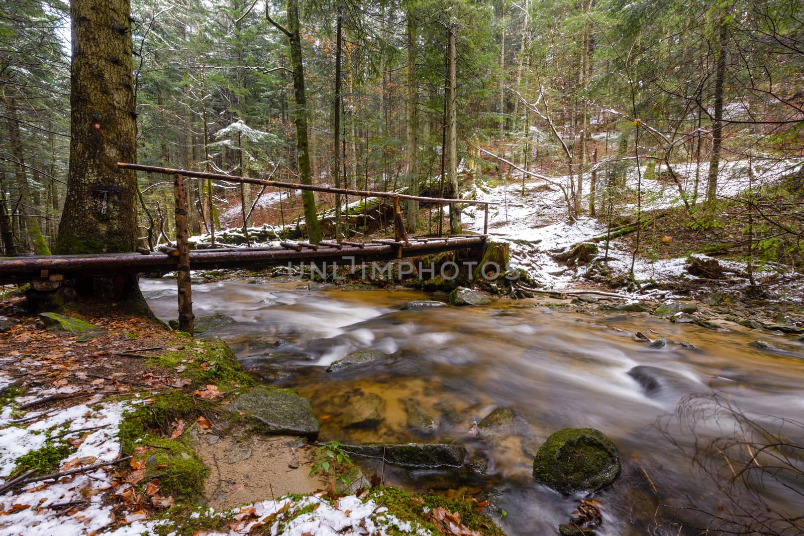 Large fallen trunk of spruce, fir in the woods, mountain river, stream, creek with rapids in late autumn, early winter with snow, vintgar gorge, Slovenia by asafaric