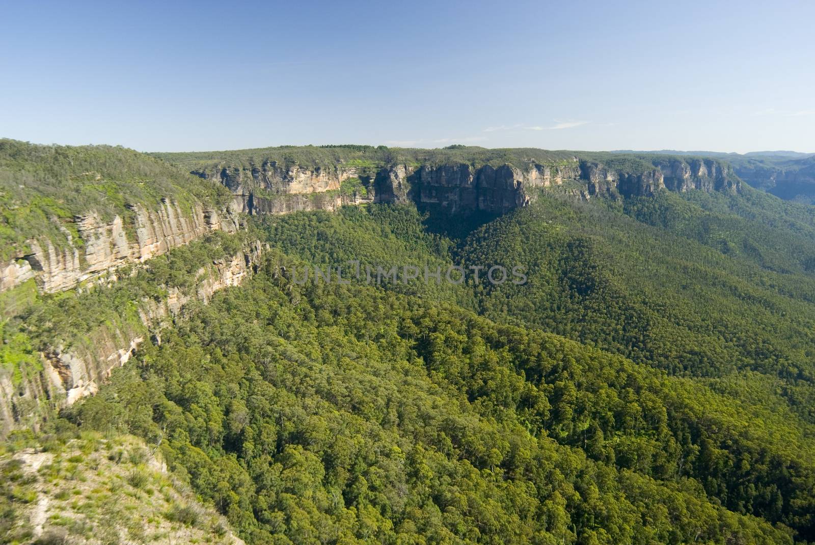 Scenic view of an escarpment in the Blue Mountains, NSW, Australia with forested slopes forming the Grose Valley