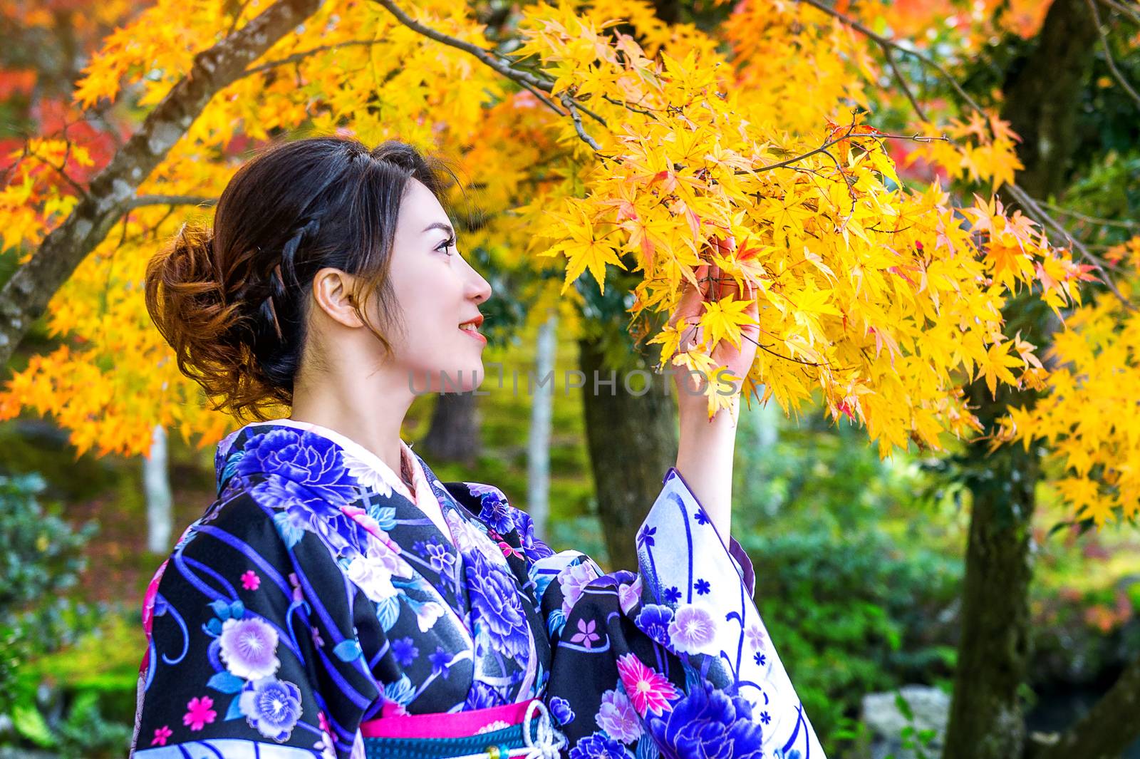Asian woman wearing japanese traditional kimono in autumn park. Japan by gutarphotoghaphy