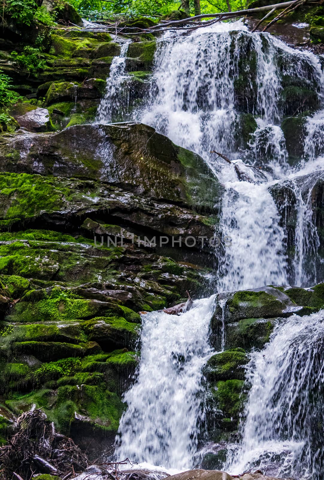 Great waterfall Shypit in Carpathian mountains by Pellinni