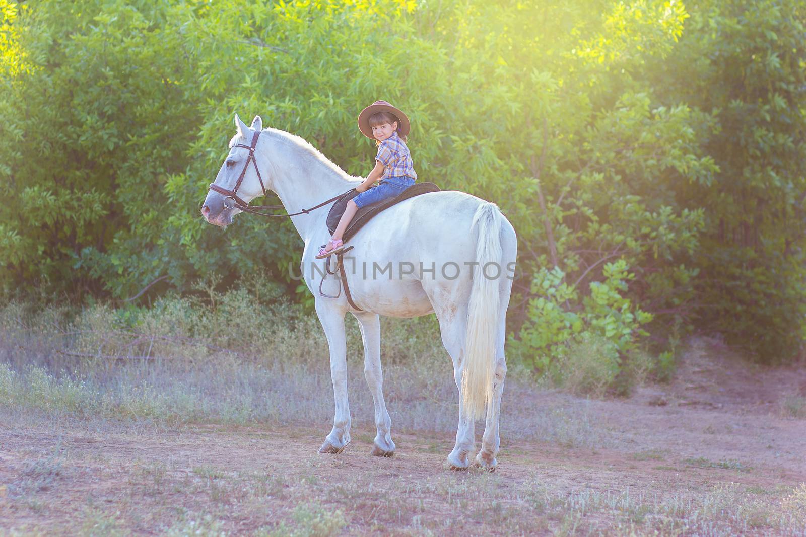 the girl in a hat sits on a white horse