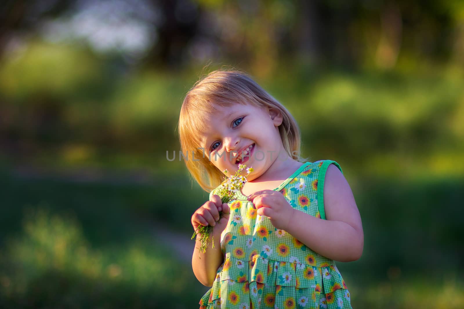 the smiling girl with a bouquet of camomiles in the summer