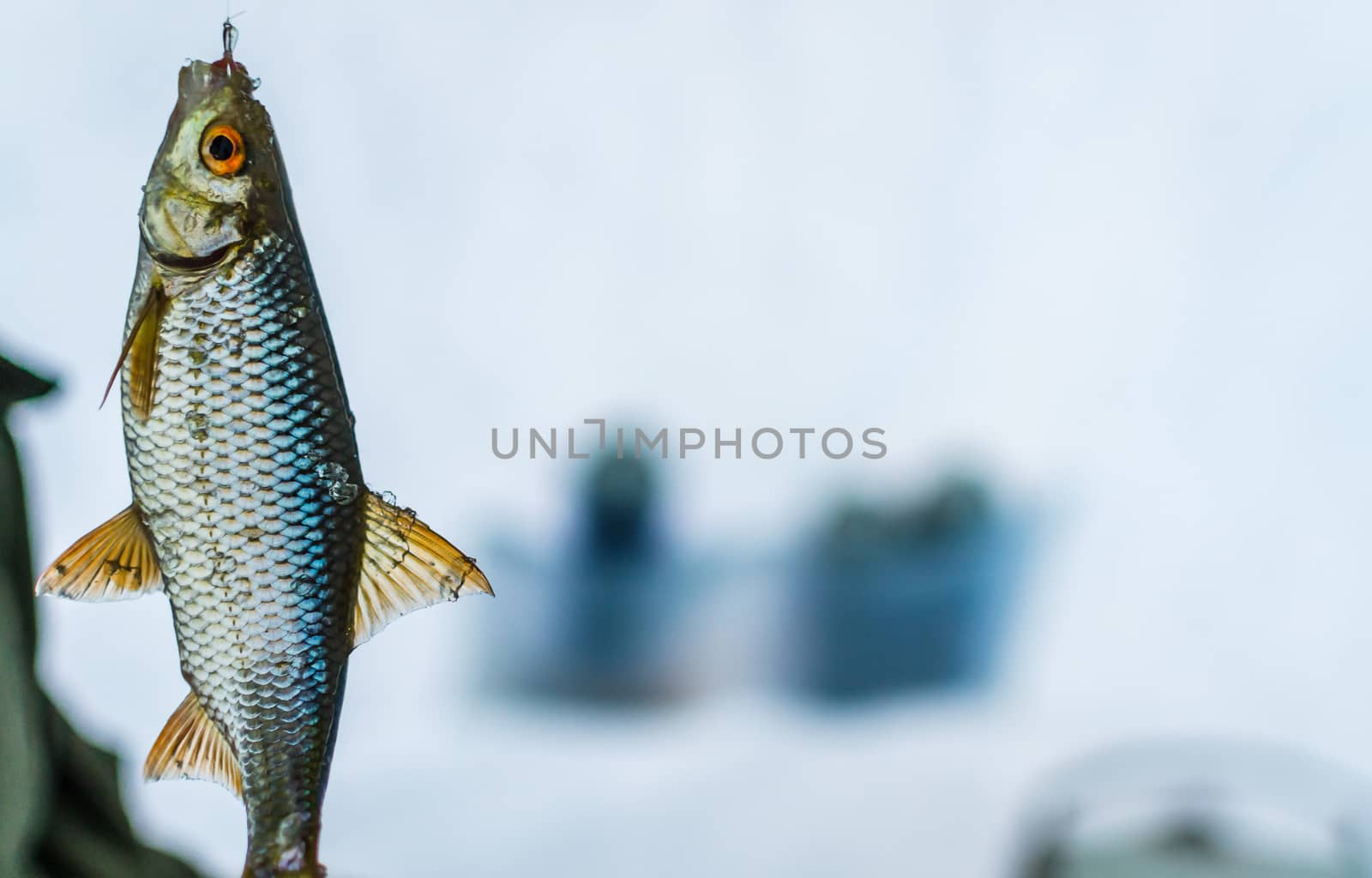 winter sport, winter fishing fishing outside on the ice