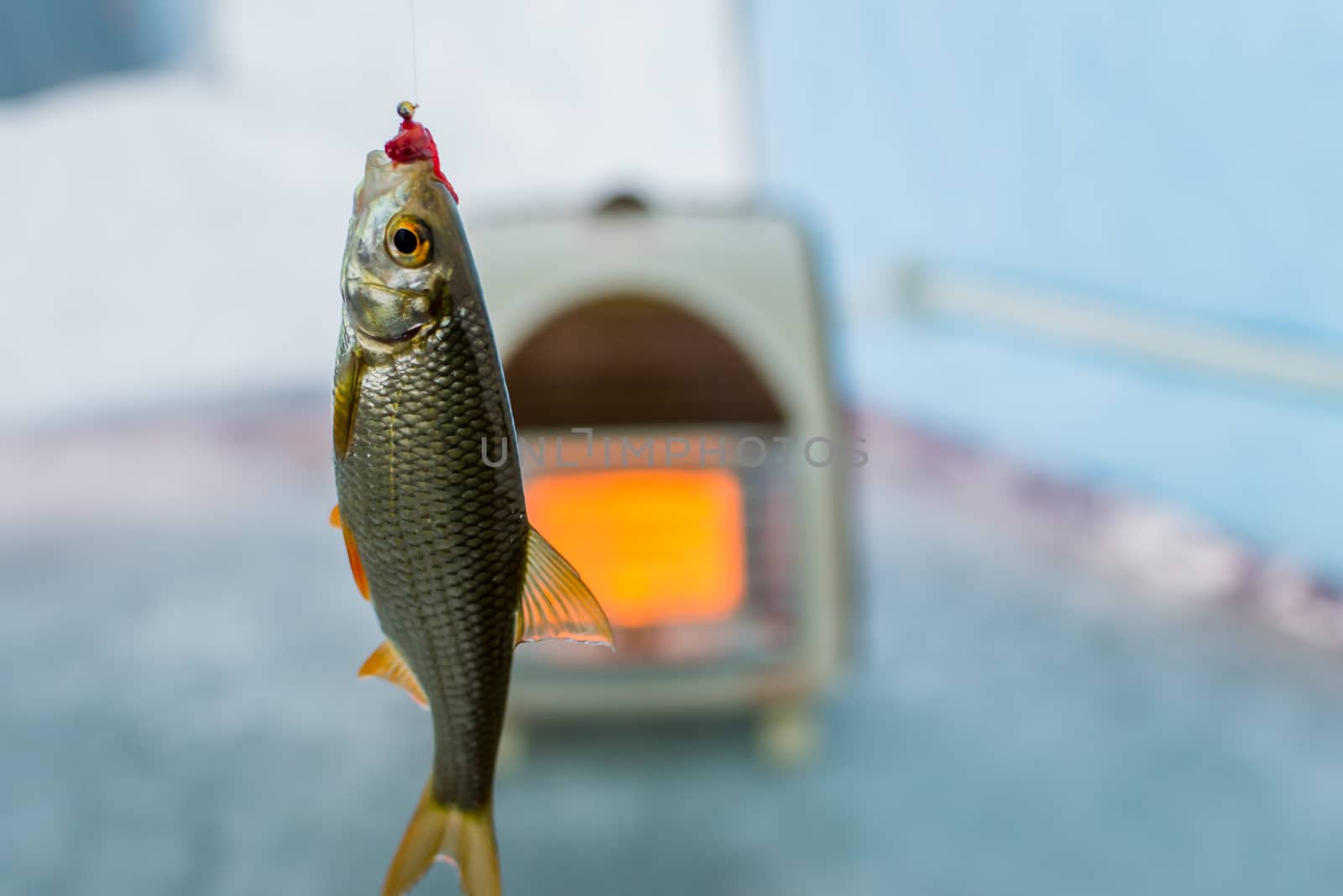 winter sport ice fishing by darksoul72