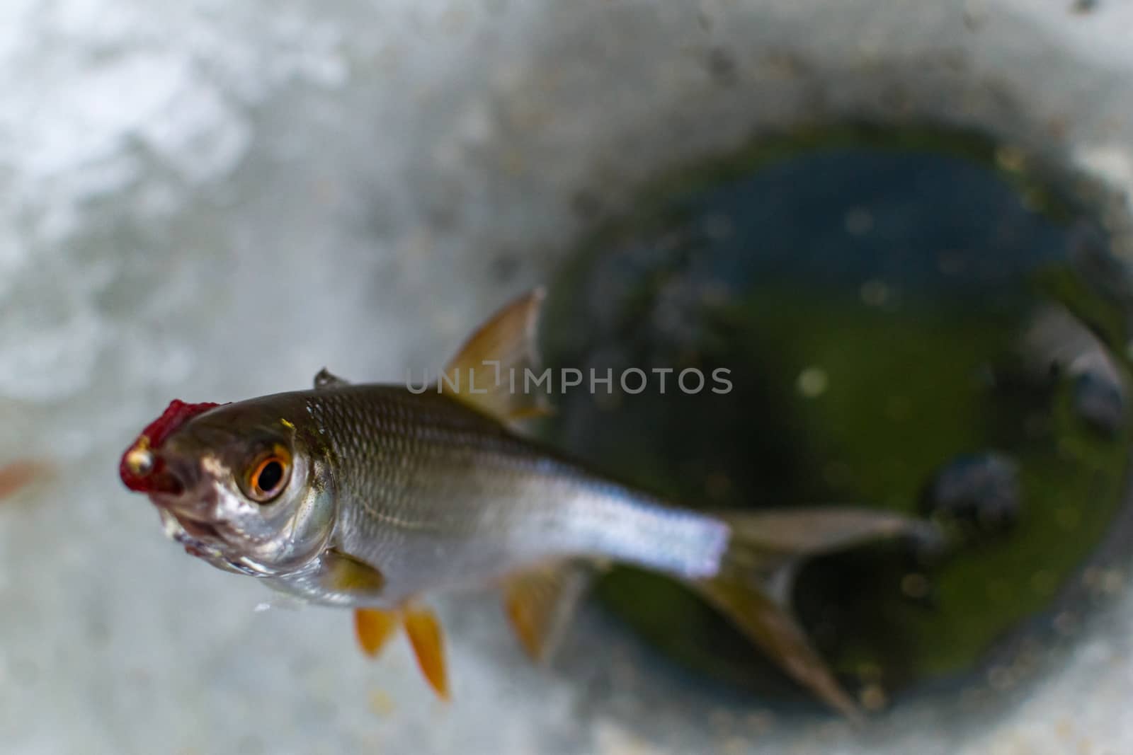 winter sport, winter fishing fishing outside on the ice