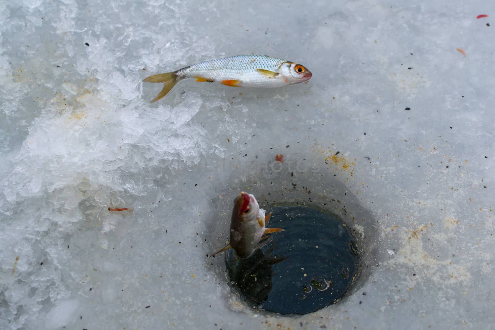 winter sport, winter fishing fishing outside on the ice