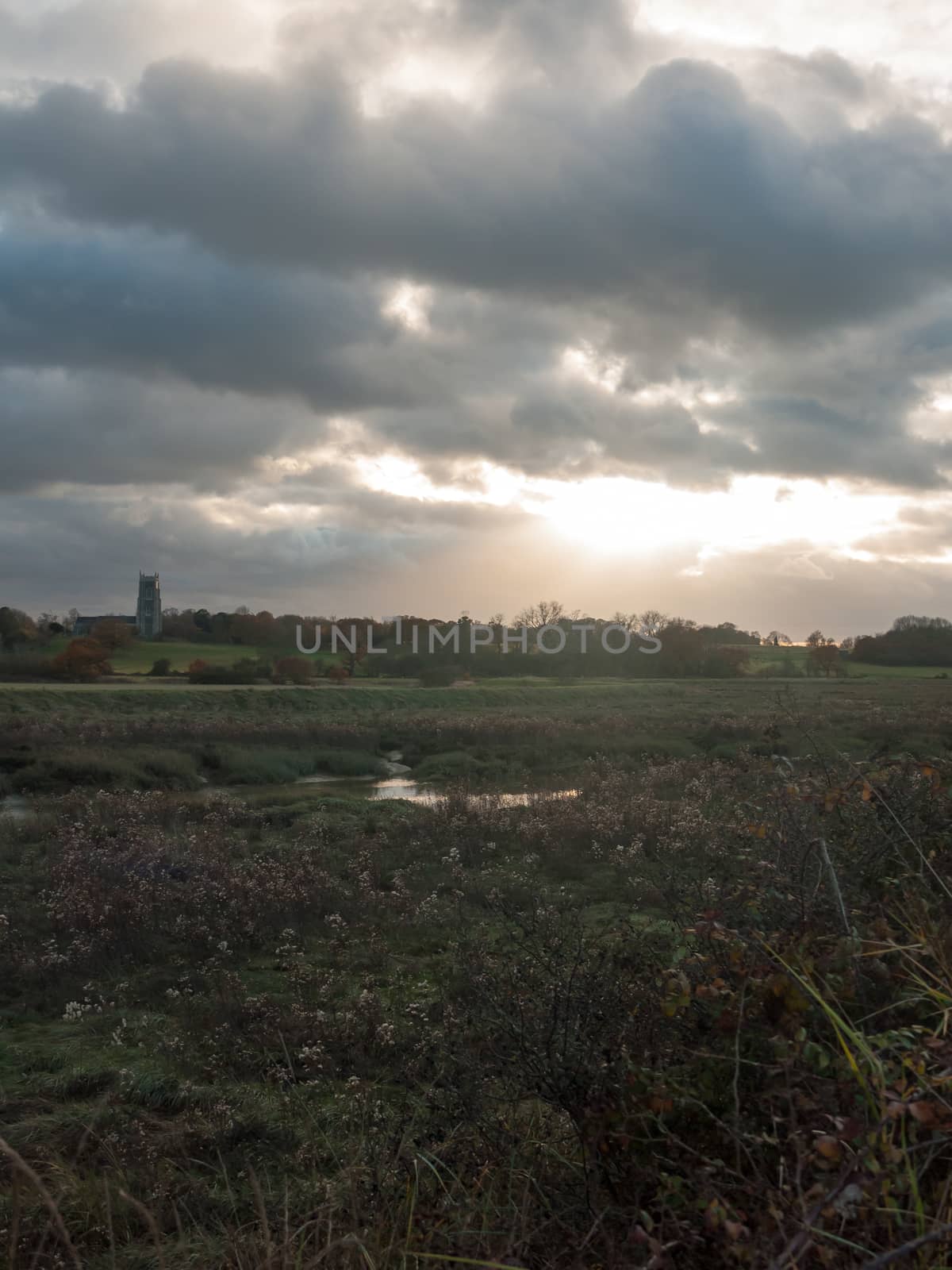 stream estuary running through countryside autumn Alresford Cree by callumrc