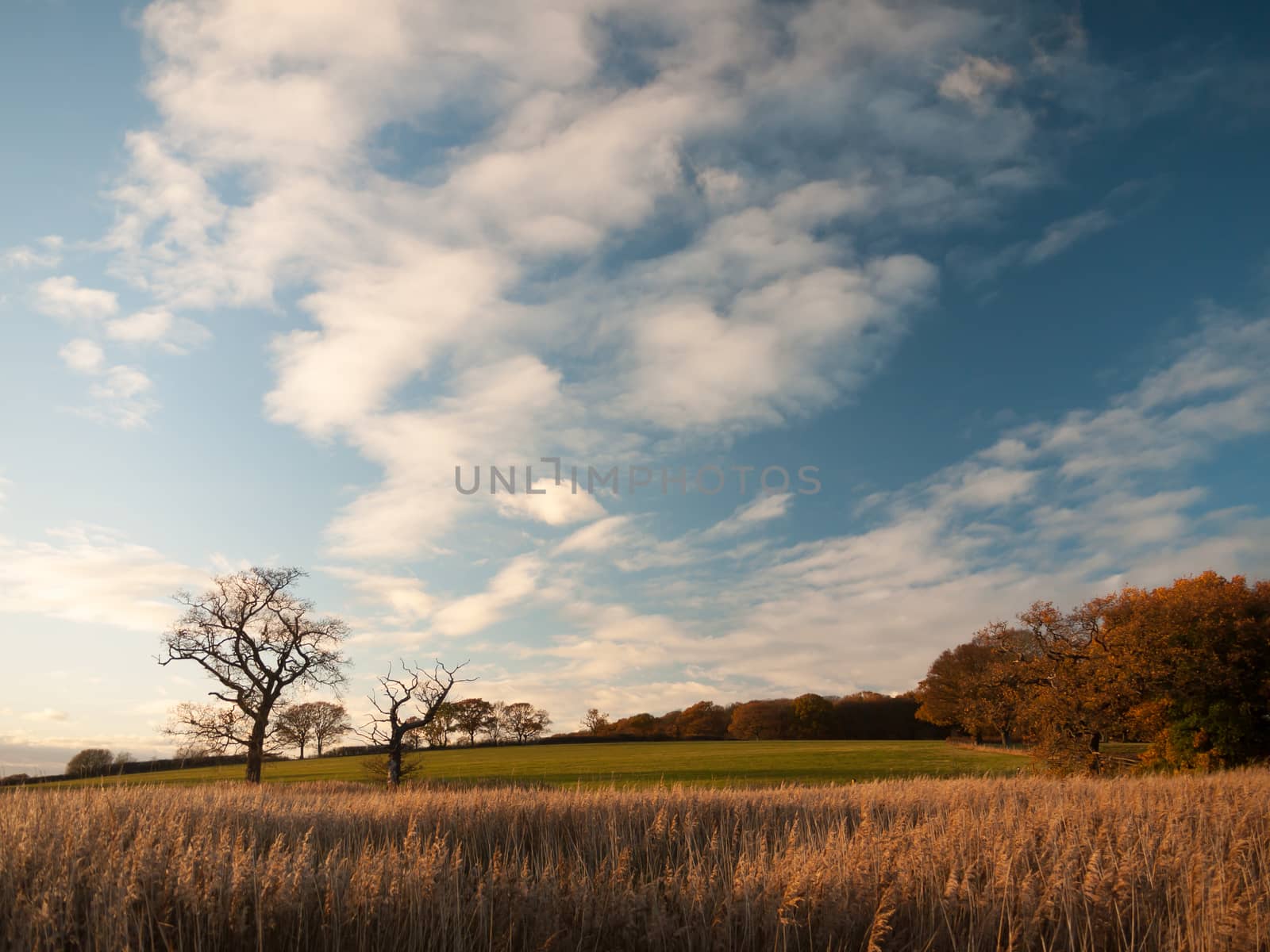 beautiful open landscape countryside space blue sky white clouds autumn; essex; england; uk