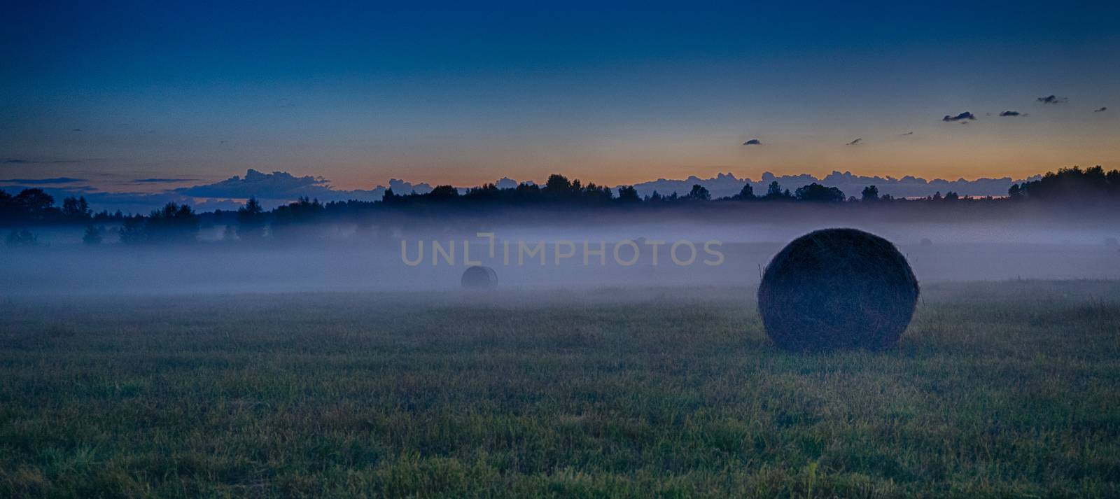 Evening fog in european field by javax