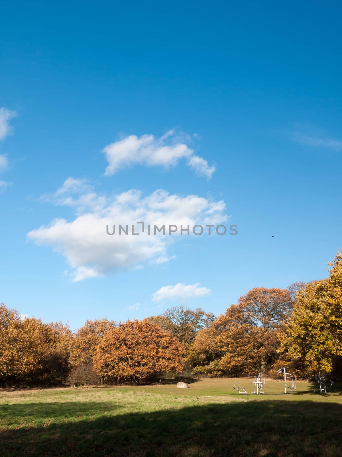 empty autumn grass and tree landscape sky clouds by callumrc