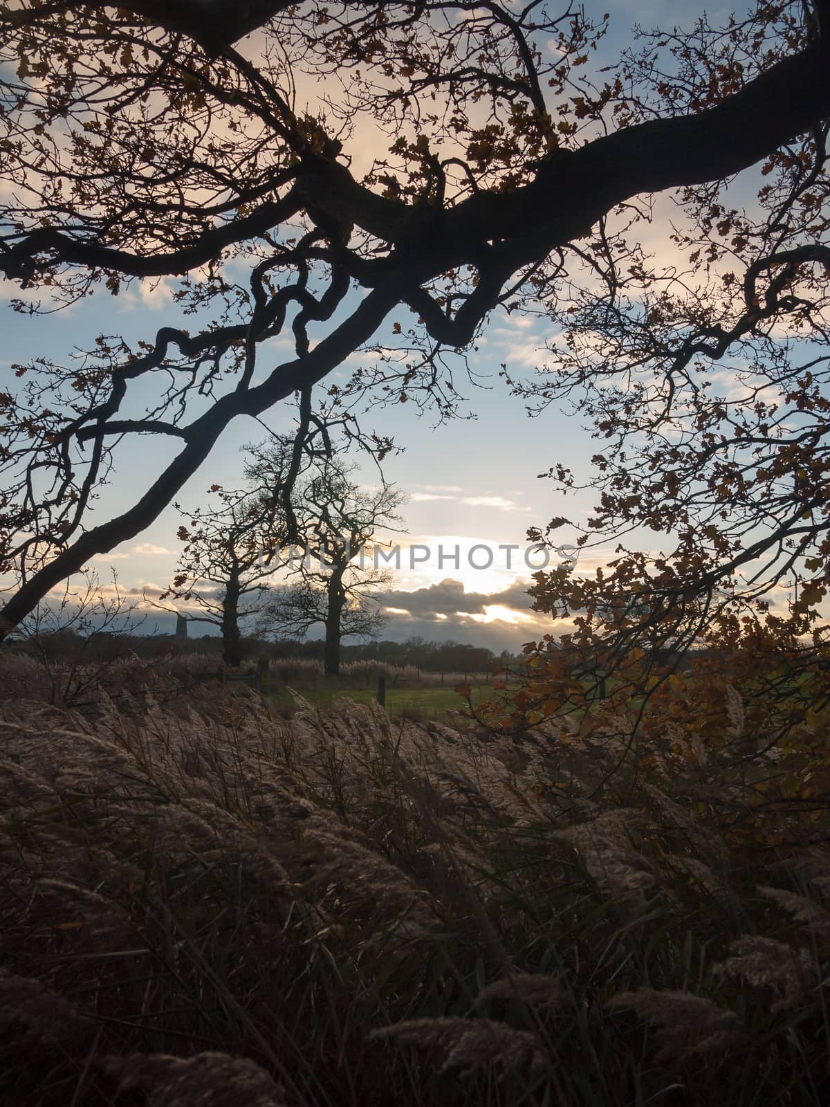 beautiful open landscape countryside space blue sky white clouds by callumrc