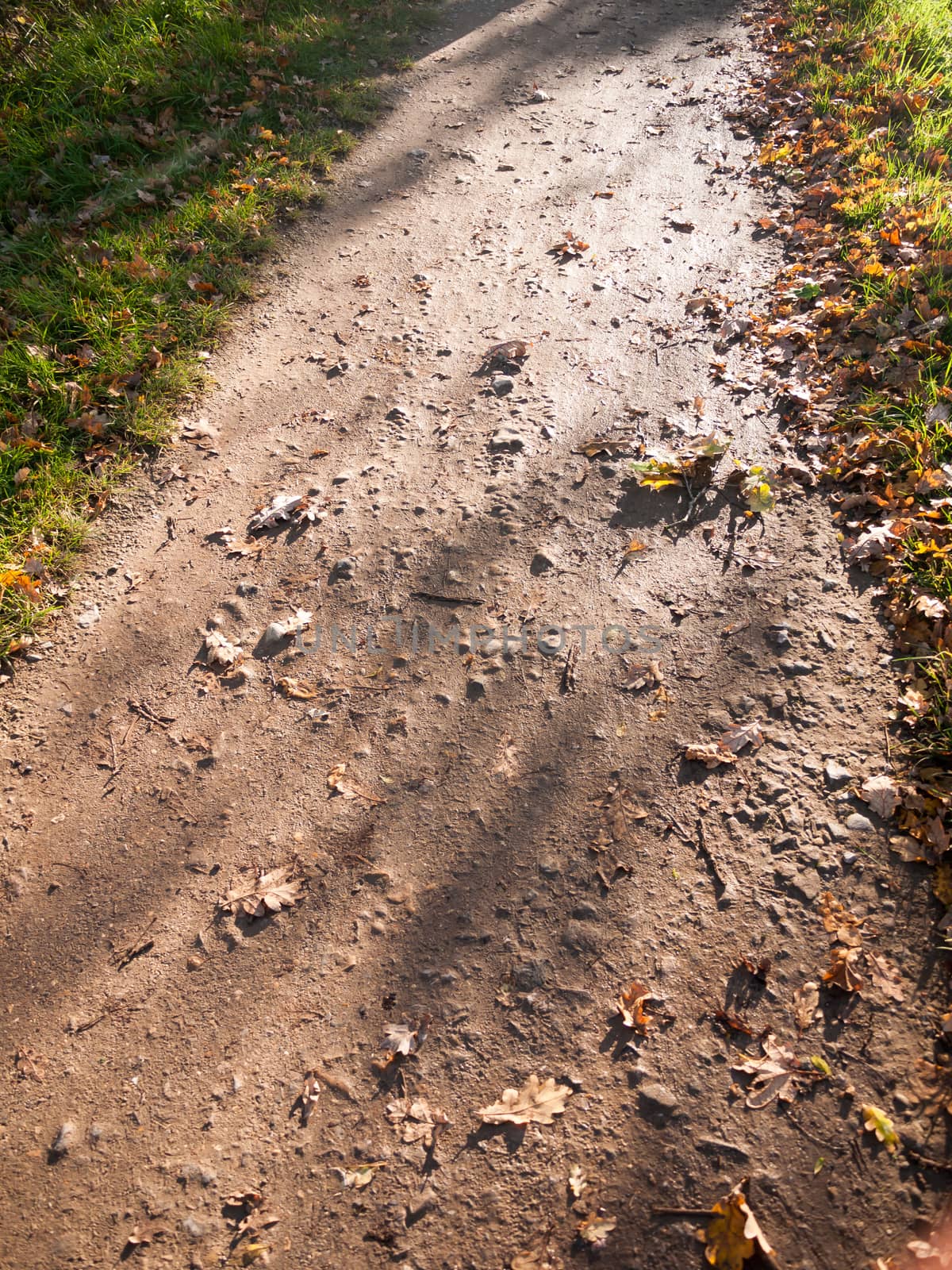 wet walkway path brown floor autumn way walk; essex; england; uk