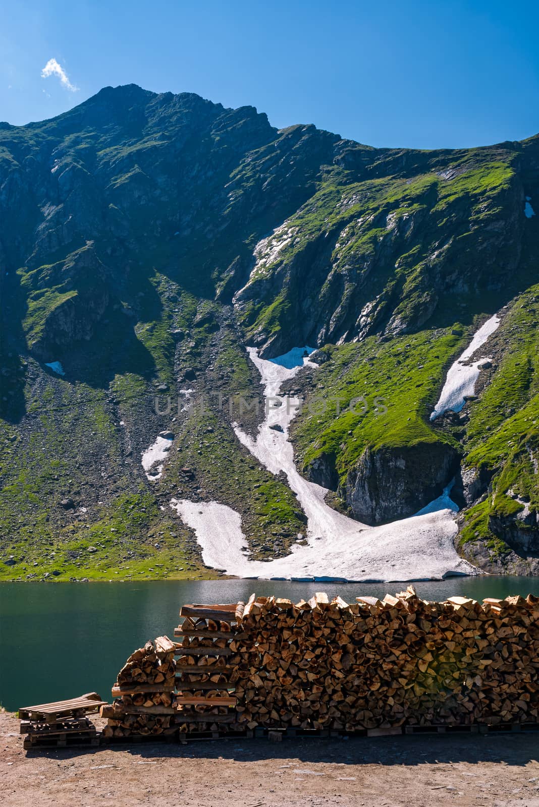 chopped firewood on the shore of a glacier by Pellinni