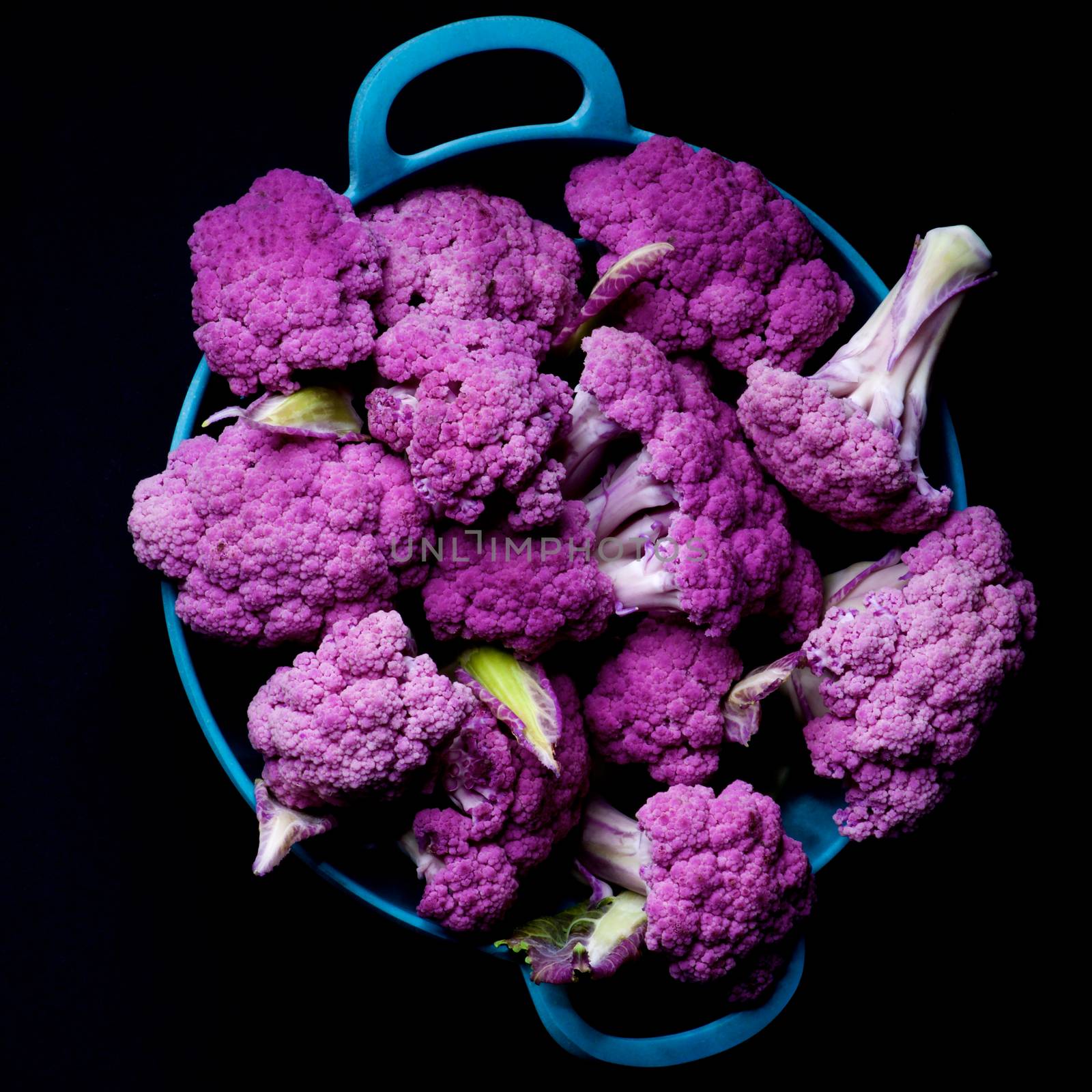 Fresh Raw Purple Sprouts of Cauliflower with Leafs in Blue Bowl isolated on Black background. Top View