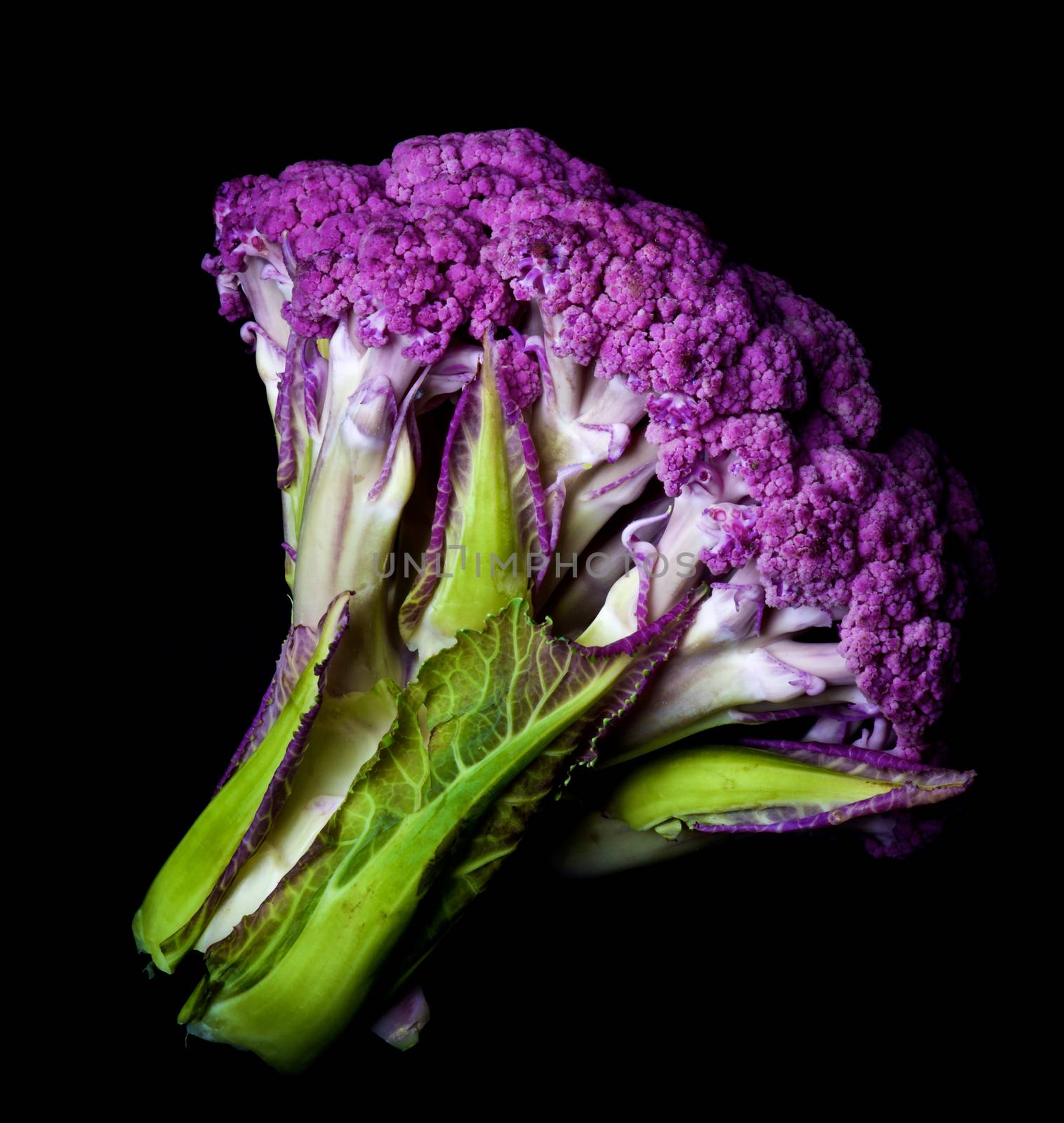 Fresh Purple Cauliflower by zhekos