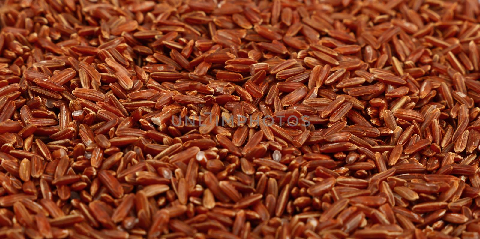 Red brown raw long grain rice close up pattern background, low angle view, selective focus