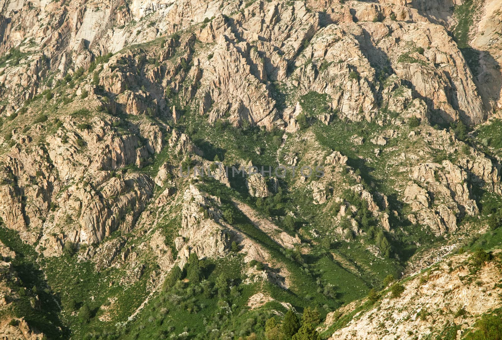 Slope of a mountain in Chimgan, Uzbekistan