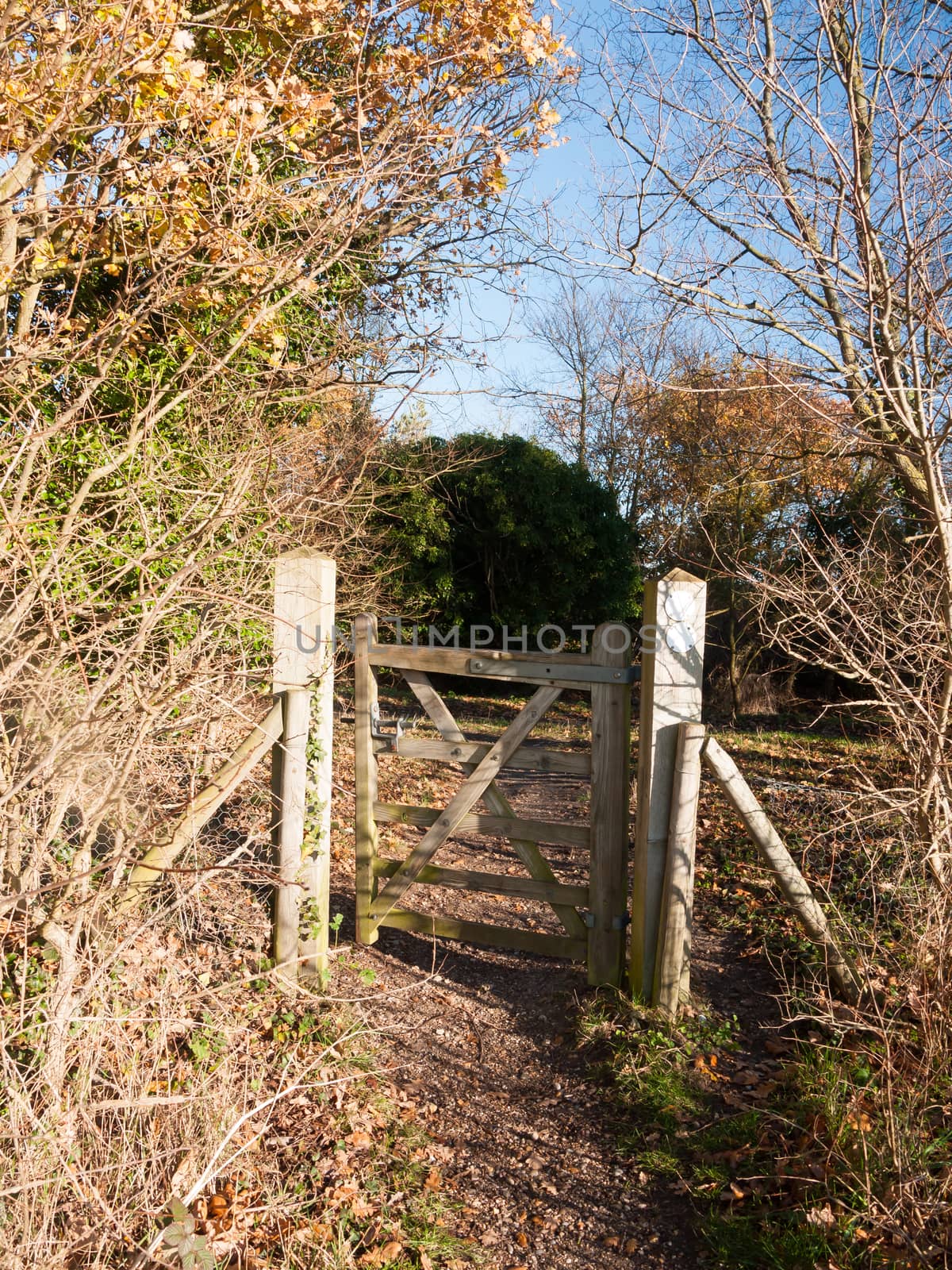 countryside open gate public pathway wooden fence boundary autumn; essex; england; uk