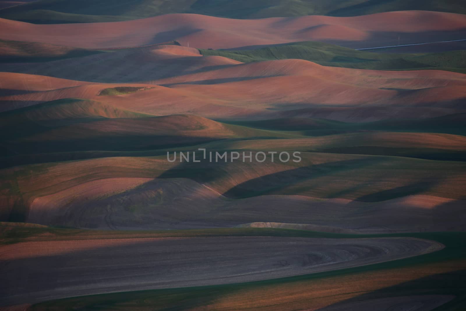 View of Palouse Washington from Steptoe Butte 