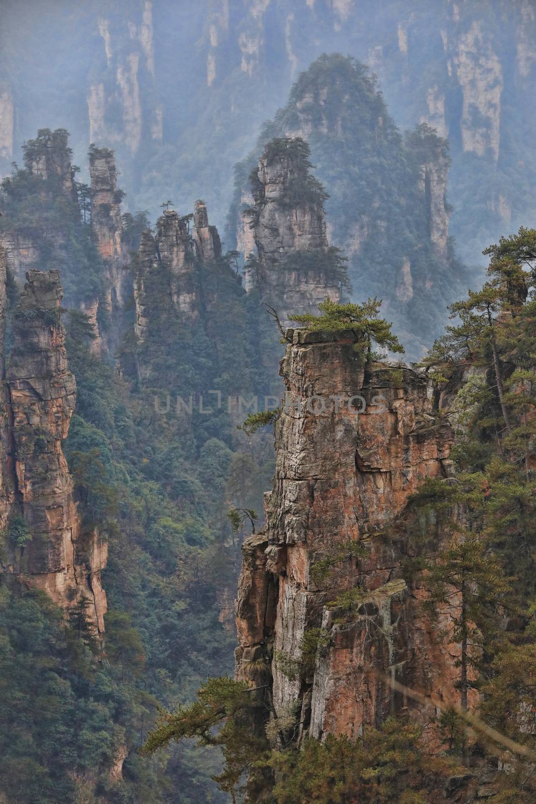 The Son of Heaven Mountain Tianzishan in China Hunan Province