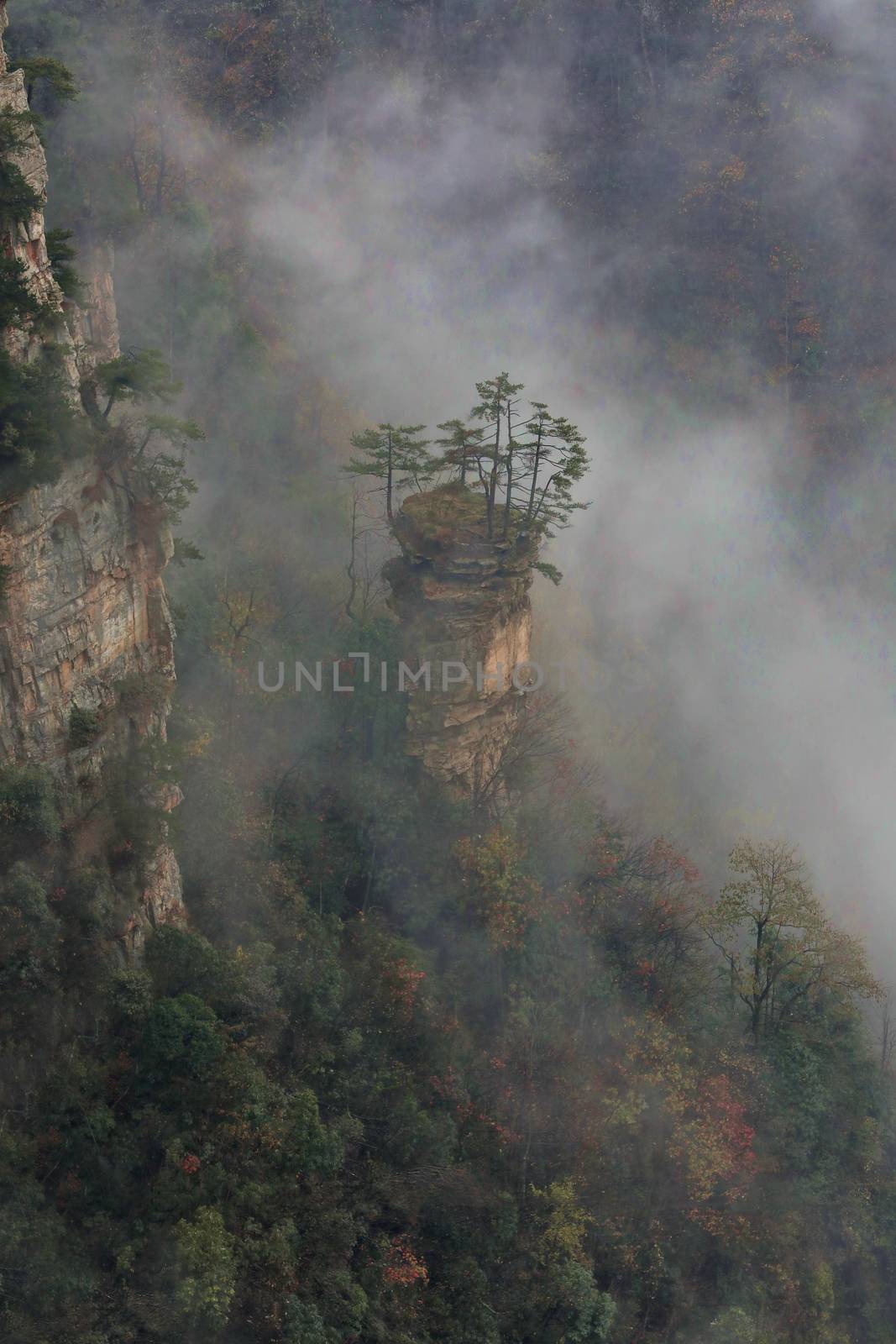 Beautiful Son of Heaven Mountain Tianzishan in China Hunan Provi by tobkatrina