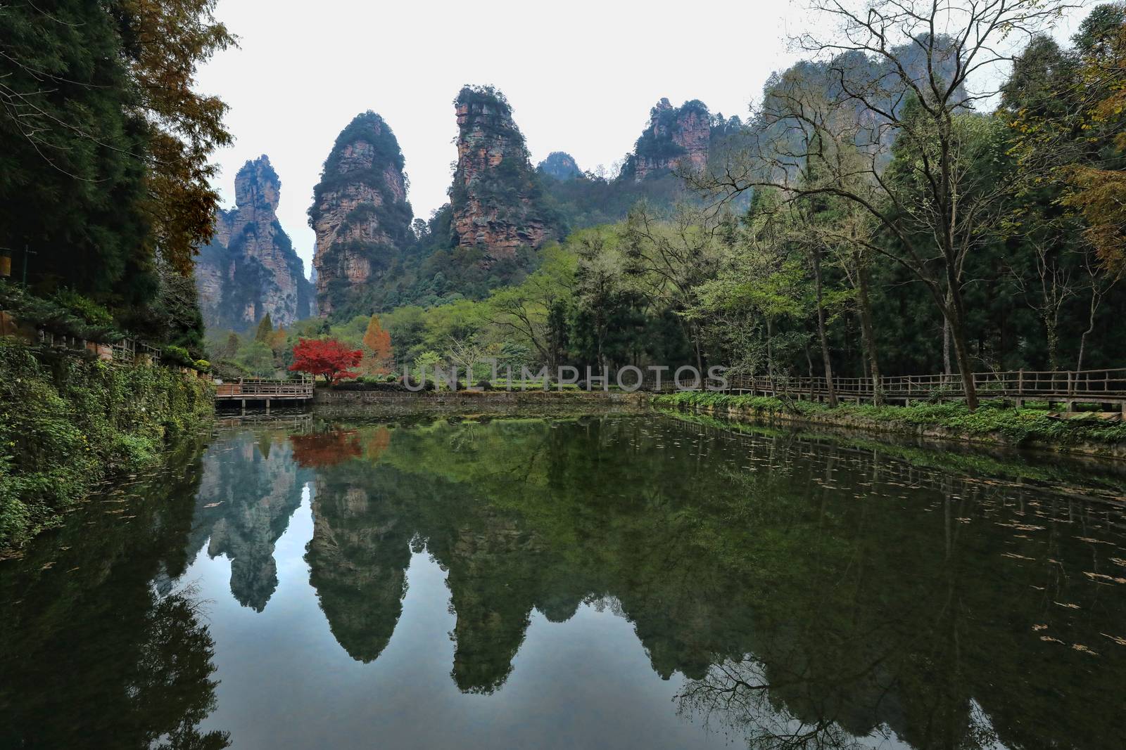 Landscape Inside Zhangjiajie National Park China  by tobkatrina