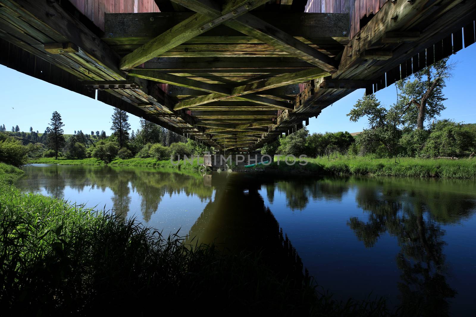 Under Bridge in Rural in Palouse Washington  by tobkatrina