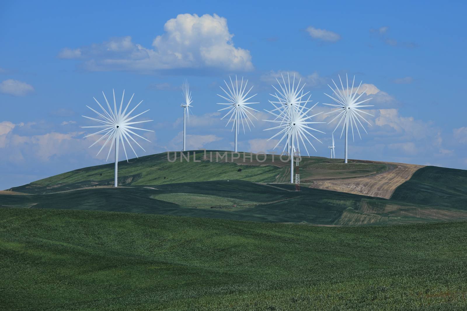Multiple Wind Turbines in Palouse Washington Time lapsed for Fun by tobkatrina