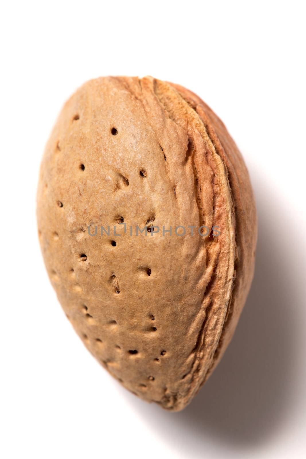 One sweet almond isolated on a white background.