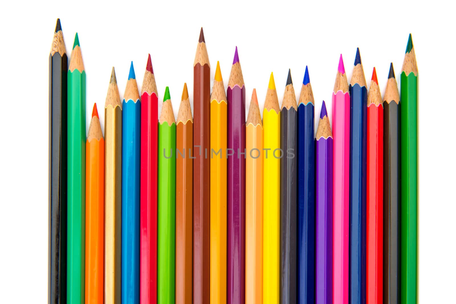 Color pencils isolated on a white background.