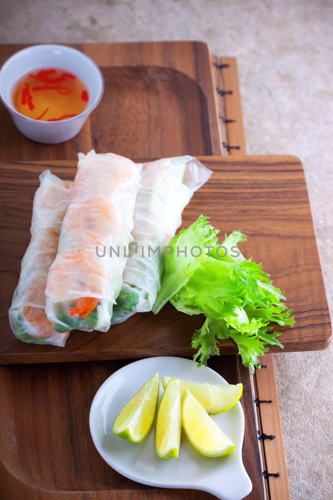 Vietnamese Rice Paper Rolls by supercat67