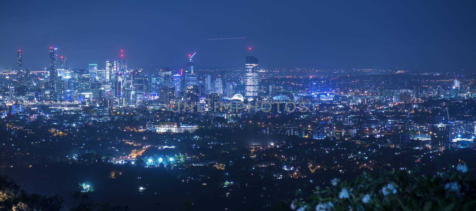 View of Brisbane from Mount Coot-tha at night. by artistrobd