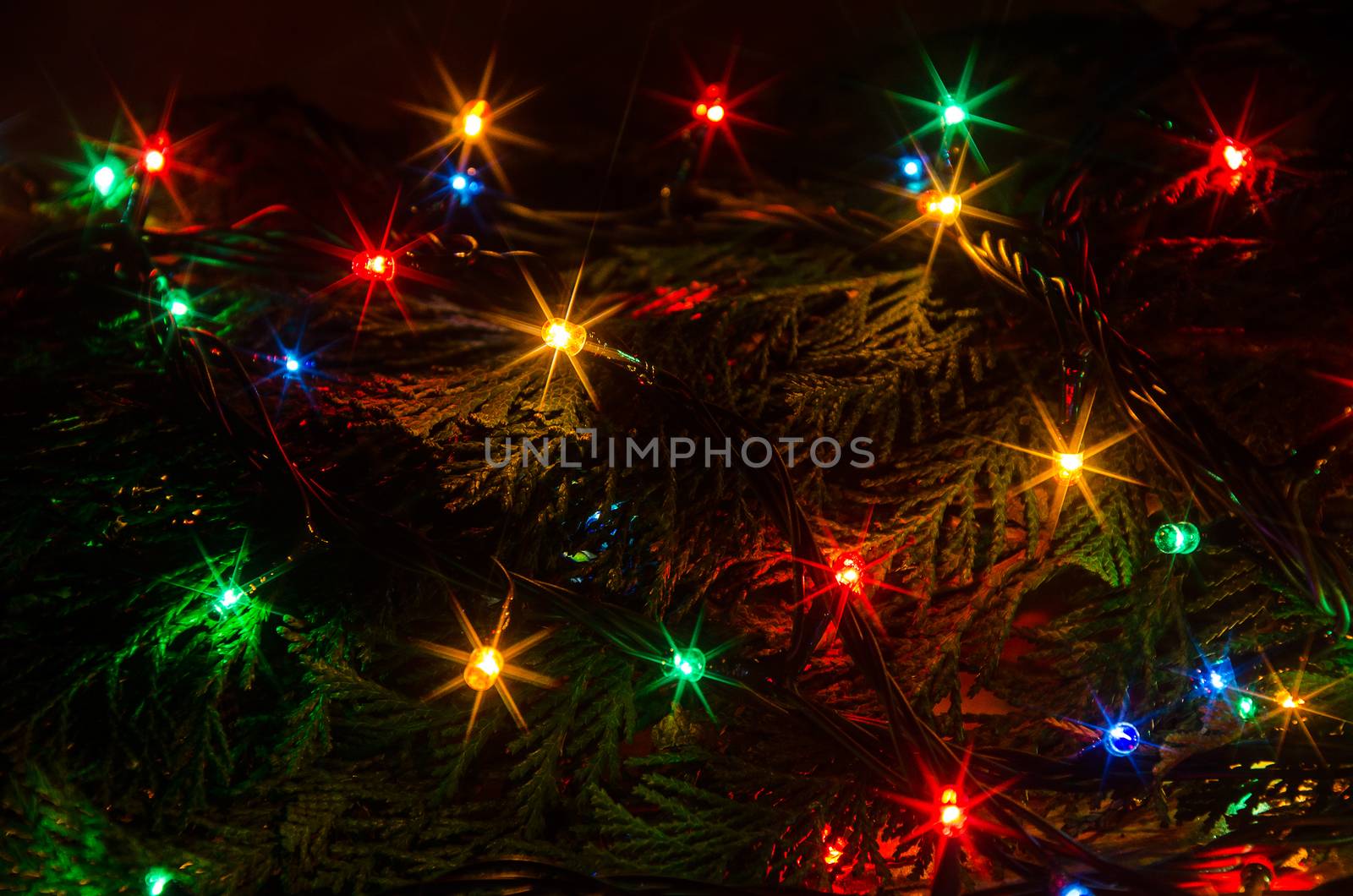 Christmas lights on a tree in different colors are classic symbol of Christmas.