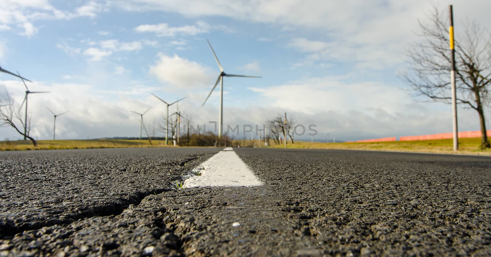 The wind power plant is the right path in the future.