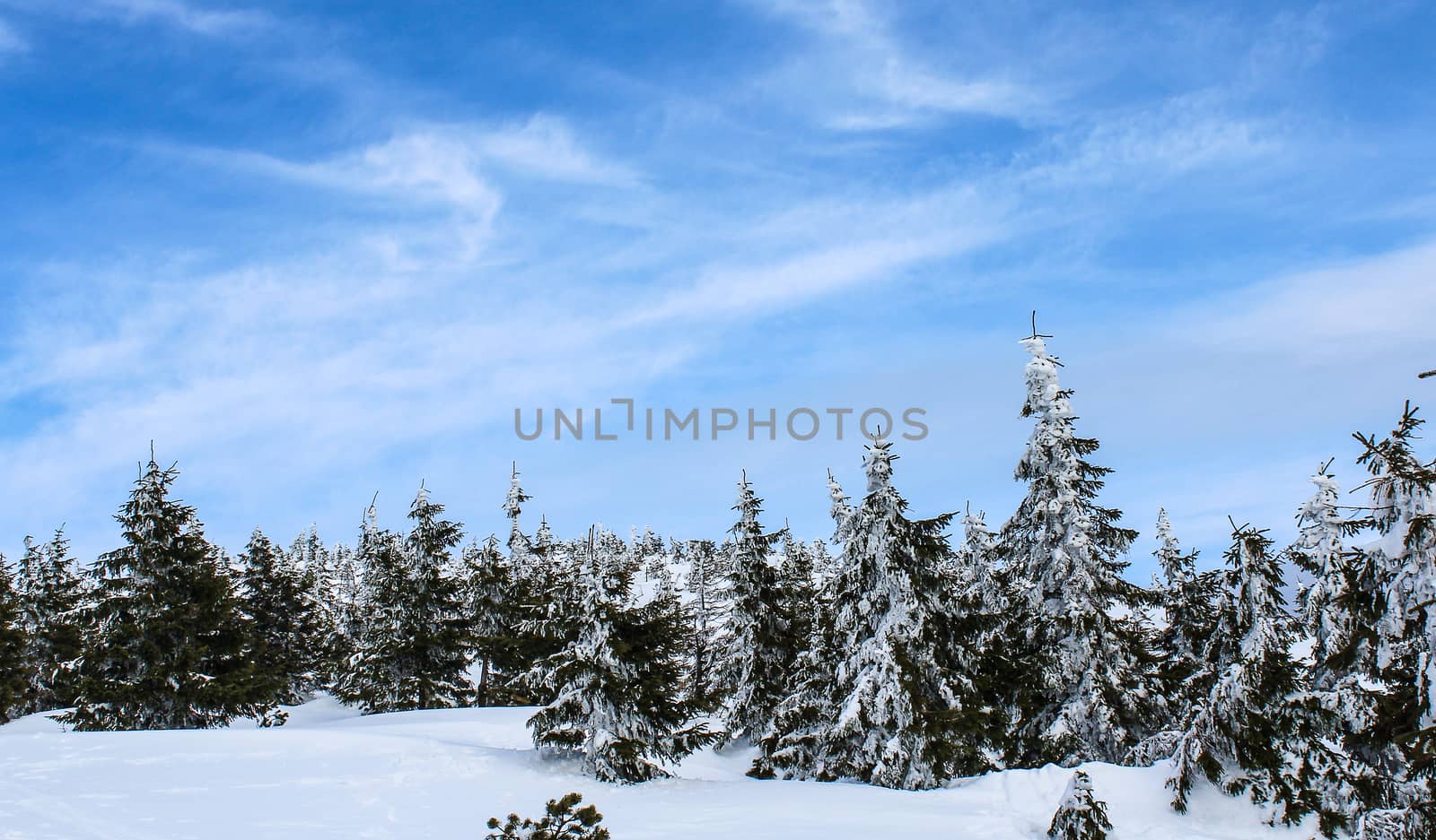 Snowy Czech mountain peak in the main ski season.